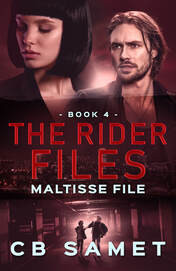 The Rider Files Romantic Suspense Series : Maltisse File