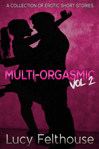 Multi-Orgasmic Vol 2: A Collection of Erotic Short Stories