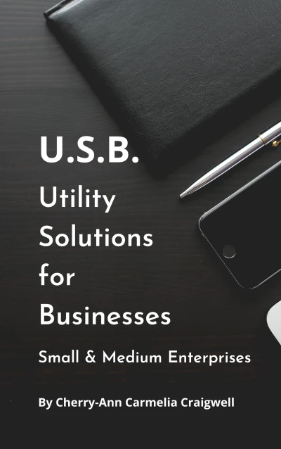 U.S.B. Utility Solutions for Businesses - Small an... - CraveBooks