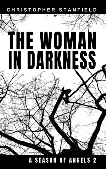 The Woman in Darkness - CraveBooks