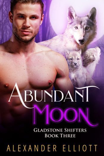 Abundant Moon