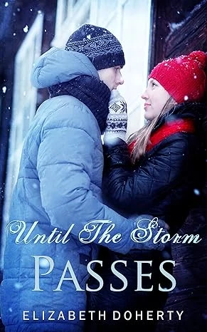 Until the Storm Passes - CraveBooks