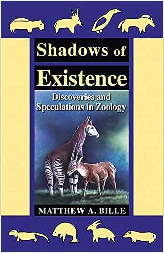 Shadows of Existence - CraveBooks