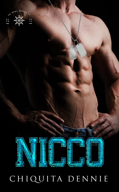 Nicco: A Fake Dating Bodyguard Romance