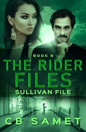 The Rider Files Romantic Suspense Series : Sullivan File