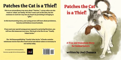 Patches the Cat is a Thief! - CraveBooks