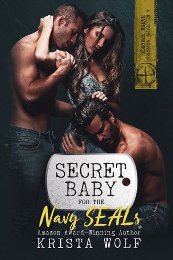 Secret Baby for the Navy SEALs: A Military Reverse Harem Romance