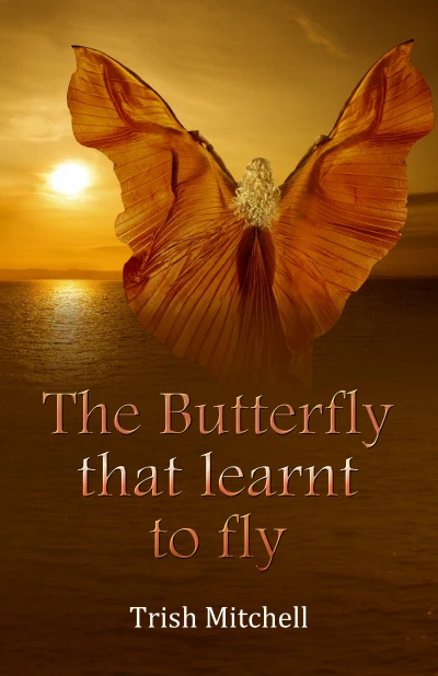 The Butterfly that learnt to fly - CraveBooks