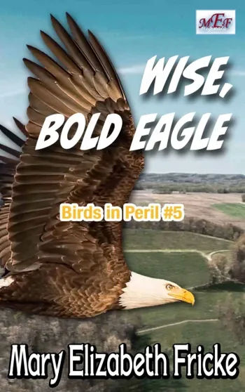 Wise, Bold Eagle