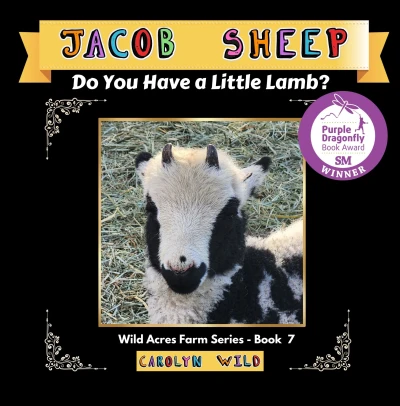 Jacob Sheep: Do You Have A Little Lamb?