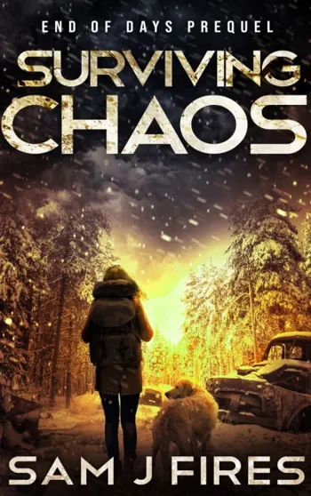 Surviving Chaos