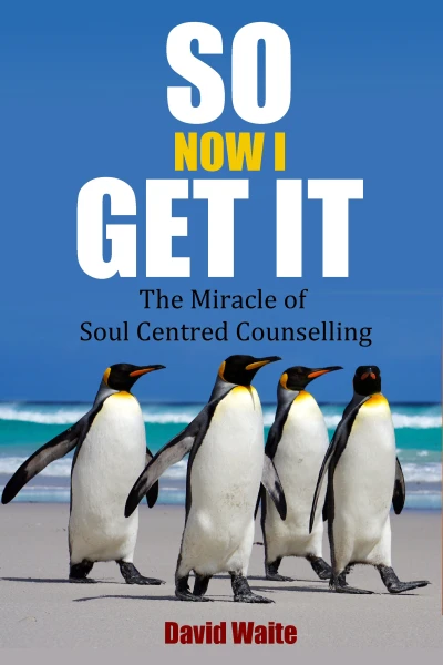 So Now I Get It: The Miracle of Soul-Centred Counselling