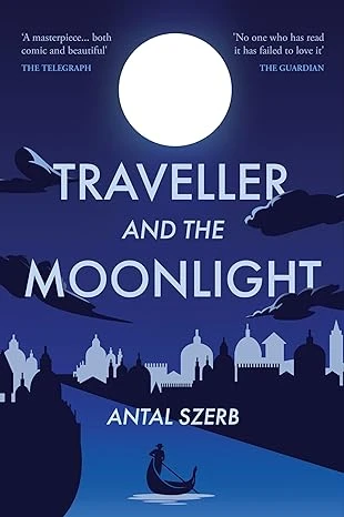 Traveller and the Moonlight