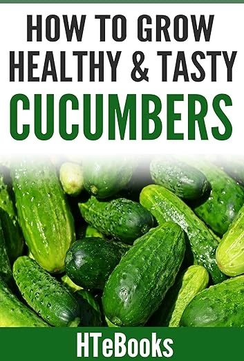 How To Grow Healthy & Tasty Cucumber - CraveBooks