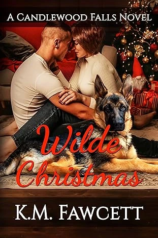 Wilde Christmas - CraveBooks