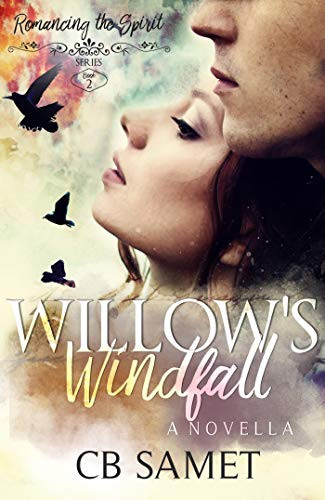 Willow's Windfall: a novella (Romancing the Spirit Book 2)