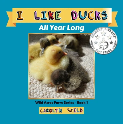 I Like Ducks: All Year Long