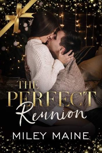 The Perfect Reunion - CraveBooks