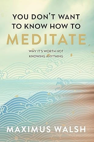 You don't want to know how to meditate - CraveBooks