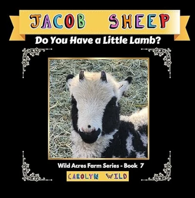Jacob Sheep - CraveBooks
