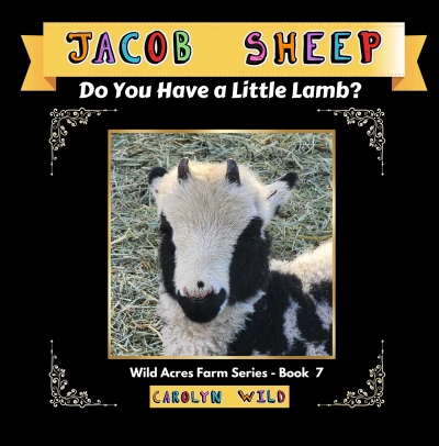 Jacob Sheep: Do You Have A Little Lamb? - CraveBooks