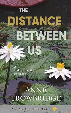 The Distance Between Us - CraveBooks