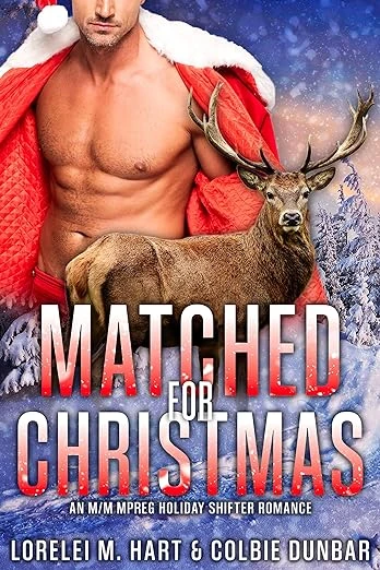 Matched For Christmas - CraveBooks