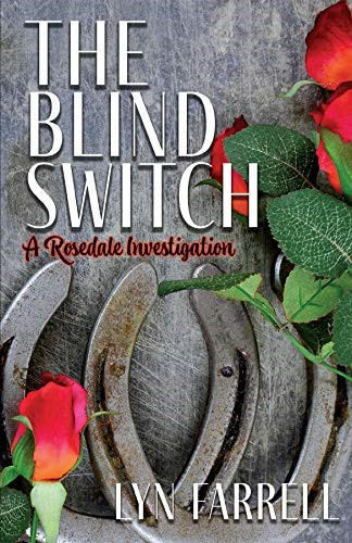 The Blind Switch - CraveBooks