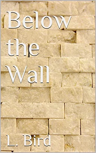 Below the Wall - CraveBooks