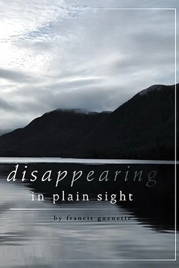 Disappearing in Plain Sight - CraveBooks