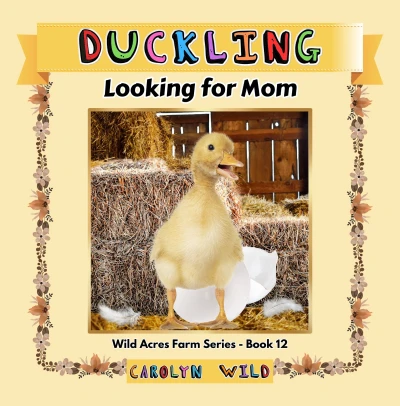 Duckling: Looking For Mom