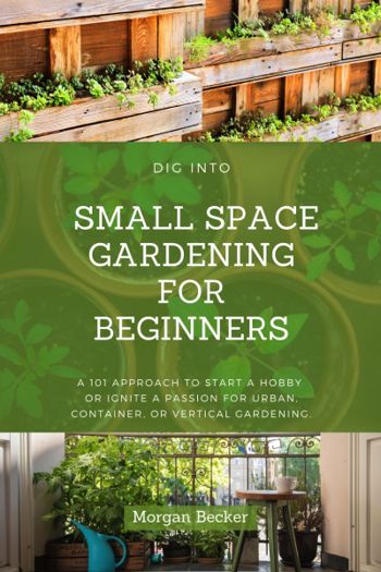 Dig Into Small Space Gardening for Beginners: A 101 Approach to Start a Hobby or Ignite a Passion for Urban, Container, or Vertical Gardening