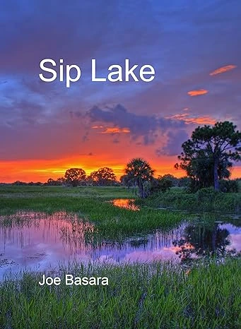 Sip Lake - CraveBooks