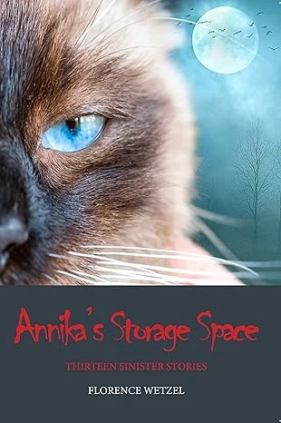 Annika's Storage Space: Thirteen Sinister Stories