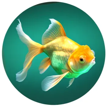 Jasper Goldfish