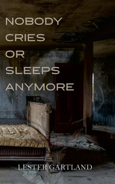 Nobody Cries or Sleeps Anymore - CraveBooks