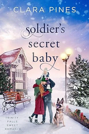 Soldier's Secret Baby - CraveBooks