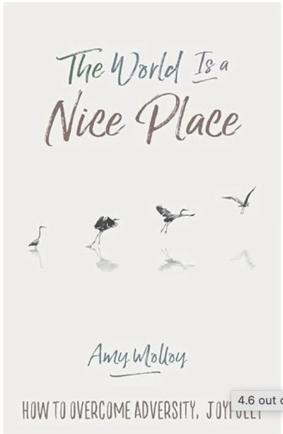 The World is a Nice Place: How to Overcome Adversity Joyfully