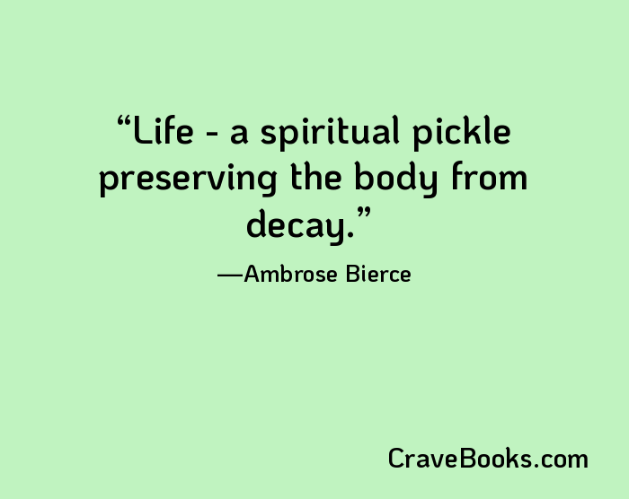 Life - a spiritual pickle preserving the body from decay.