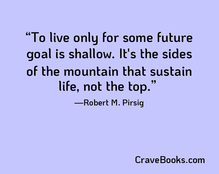 To live only for some future goal is shallow. It's the sides of the mountain that sustain life, not the top.