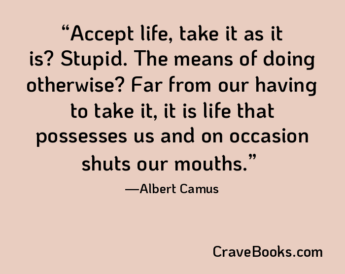 Accept life, take it as it is? Stupid. The means of doing otherwise? Far from our having to take it, it is life that possesses us and on occasion shuts our mouths.