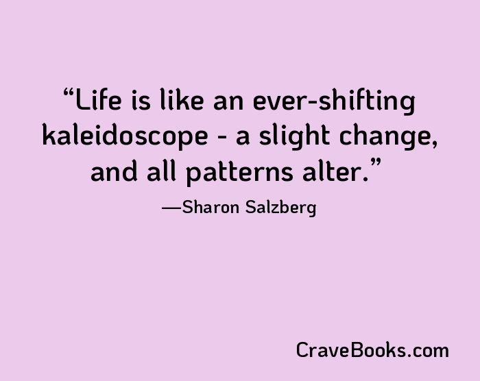 Life is like an ever-shifting kaleidoscope - a slight change, and all patterns alter.