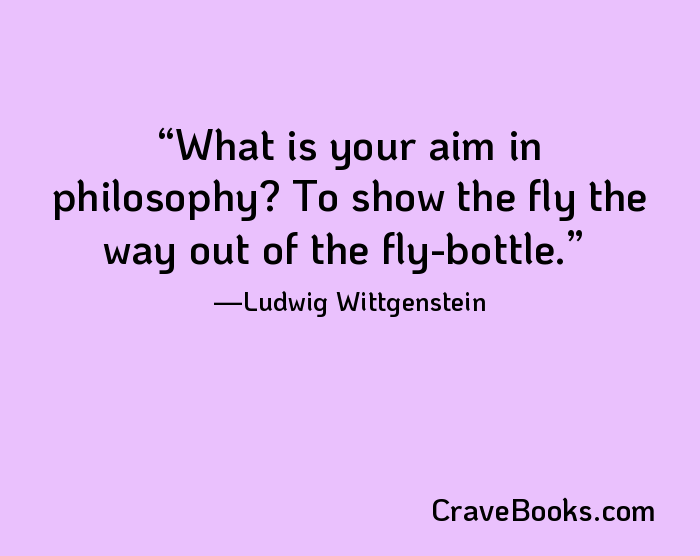 What is your aim in philosophy? To show the fly the way out of the fly-bottle.