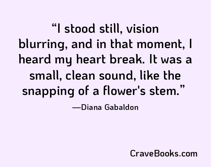 I stood still, vision blurring, and in that moment, I heard my heart break. It was a small, clean sound, like the snapping of a flower's stem.