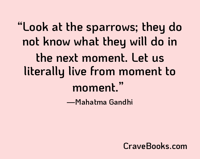 Look at the sparrows; they do not know what they will do in the next moment. Let us literally live from moment to moment.