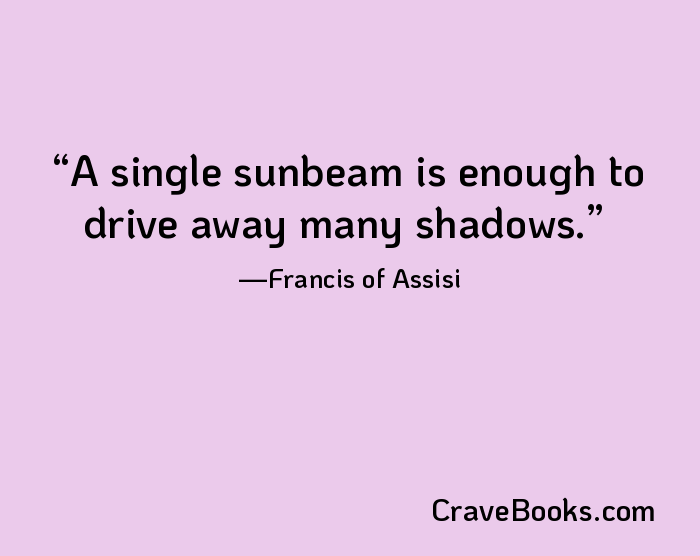 A single sunbeam is enough to drive away many shadows.