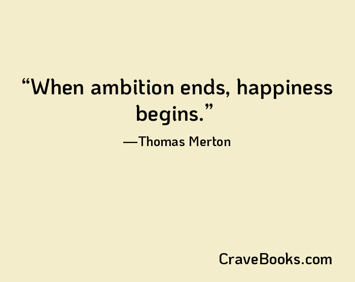 When ambition ends, happiness begins.