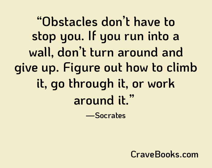 Obstacles don’t have to stop you. If you run into a wall, don’t turn around and give up. Figure out how to climb it, go through it, or work around it.