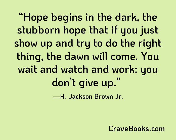 Hope begins in the dark, the stubborn hope that if you just show up and try to do the right thing, the dawn will come. You wait and watch and work: you don’t give up.