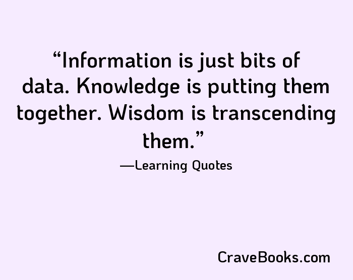 Information is just bits of data. Knowledge is putting them together. Wisdom is transcending them.